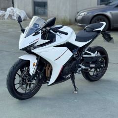 Kayo 250RR Thornbird - ფოტო 2