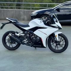 Kayo 250RR Thornbird - ფოტო 3