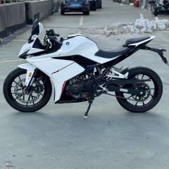 Kayo 250RR Thornbird - ფოტო 4