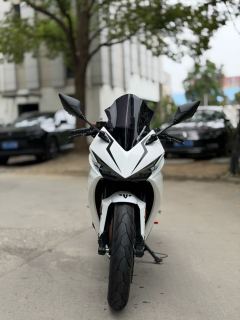 Kayo 250RR Thornbird - ფოტო 1