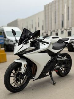 Kayo 250RR Thornbird - ფოტო 2