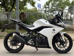 Kayo 250RR Thornbird - ფოტო 4