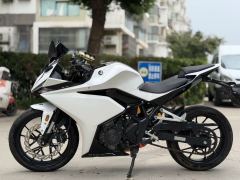 Kayo 250RR Thornbird - ფოტო 6
