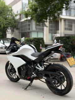 Kayo 250RR Thornbird - ფოტო 7