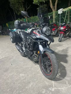 Haojue Suzuki DL250 - фото 1
