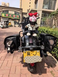 QJMOTOR Flash 300 - ფოტო 4