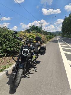 Cyclone AQS250 - photo 6