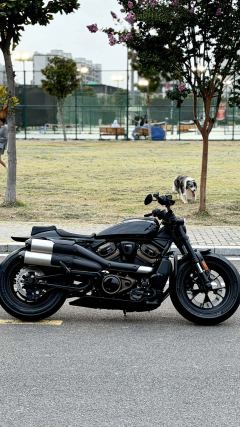 Harley-Davidson Sportster S 1250 cc - photo 3