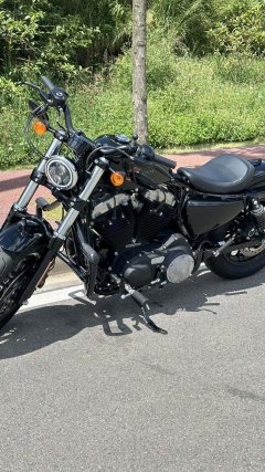 Harley-Davidson Forty-Eight athlete 1202 cc - фото 3