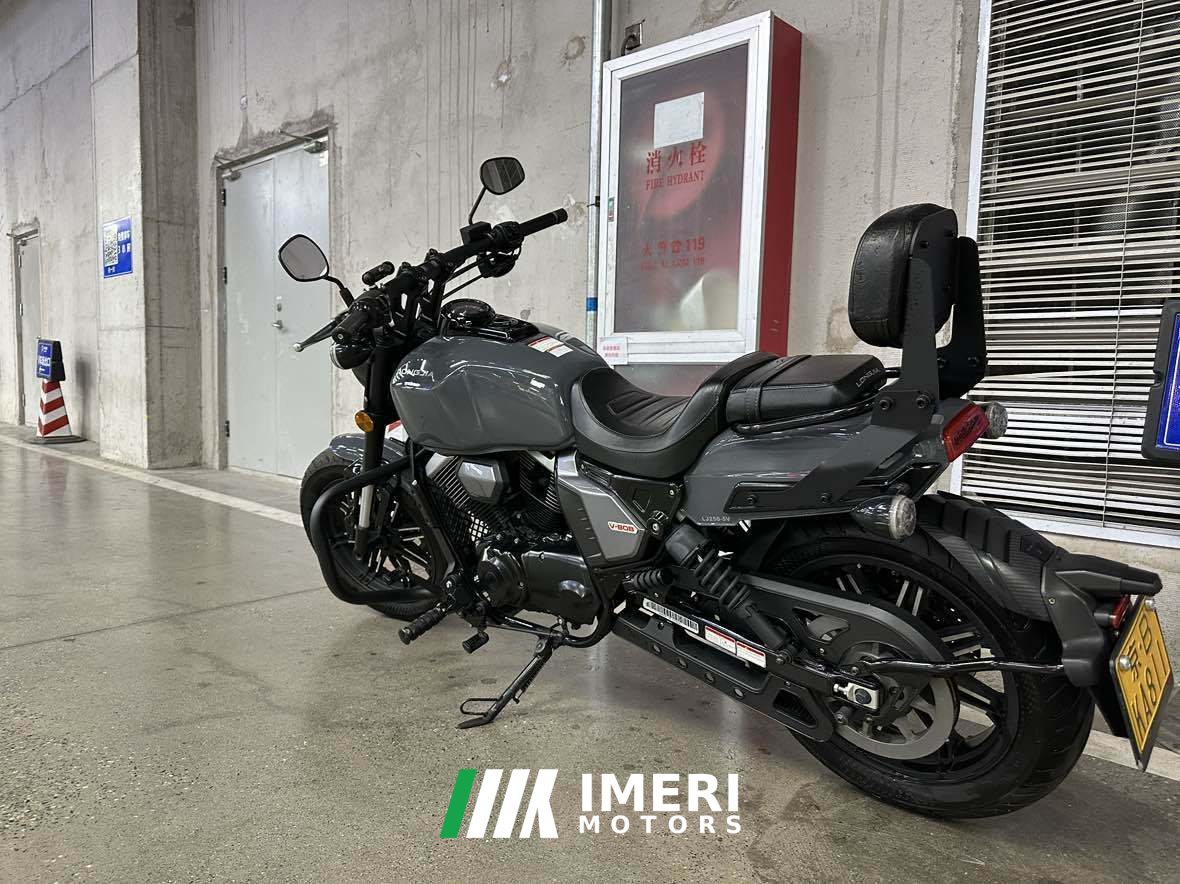 2021 Longjia V250