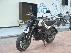 Benelli Leoncino 250 - ფოტო 2