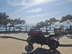 Benelli Jinpeng TRK502 500 cc - ფოტო 4