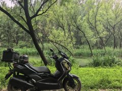 Yamaha XMAX 300 cc - photo 2