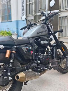 Cyclone RA2 250 cc - ფოტო 1