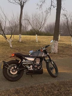 Zongshengapuliya CR 150 - ფოტო 2