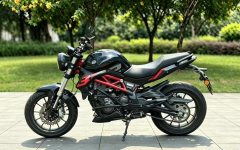 Benelli TNT 300 / BN 302S - ფოტო 6