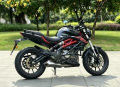Benelli TNT 300 / BN 302S - ფოტო 7