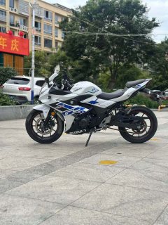 Haojue Suzuki GSX250R - ფოტო 8