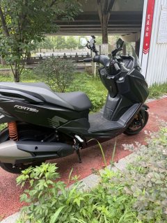 QJMOTOR Hong 250 - ფოტო 6