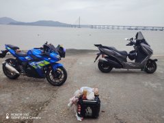 QJMOTOR Hong 250 - ფოტო 3