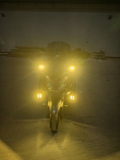 QJMOTOR Hong 250 - ფოტო 7