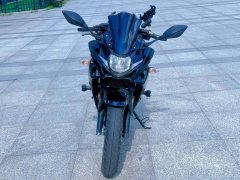 Haojue Suzuki GSX250R - ფოტო 8