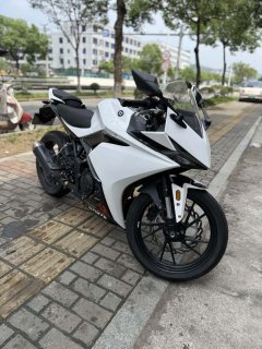 Kayo 250RR Thornbird - фото 1