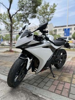 Kayo 250RR Thornbird - фото 3