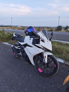 Kayo 250RR Thornbird - ფოტო 1