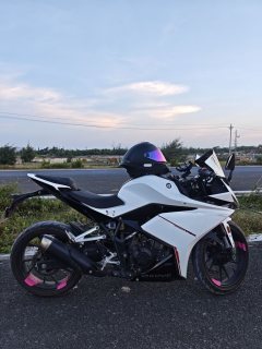 Kayo 250RR Thornbird - ფოტო 2