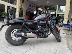 Cyclone RA250 - ფოტო 3