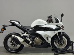QJMOTOR Sai 450 - photo 2