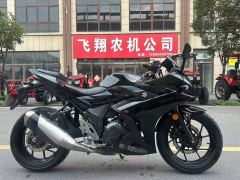 Haojue Suzuki GSX250R - photo 1