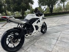 Kayo 450RR - ფოტო 4