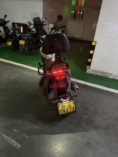 Cyclone RE600 560 cc - ფოტო 3