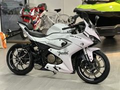 QJMOTOR SRK 250 - фото 1