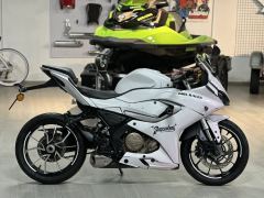QJMOTOR SRK 250 - фото 2