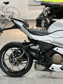 QJMOTOR SRK 250 - фото 3