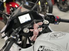 QJMOTOR SRK 250 - фото 4