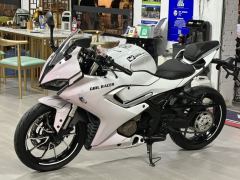 QJMOTOR SRK 250 - фото 5