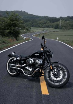 Thunder Beast Lightning Soft Tail Edition 250 cc - ფოტო 1