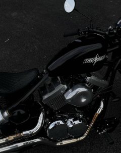 Thunder Beast Lightning Soft Tail Edition 250 cc - ფოტო 2