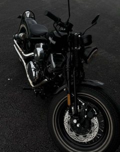 Thunder Beast Lightning Soft Tail Edition 250 cc - ფოტო 3