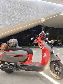 Weiduoliya Sixties 150Si - ფოტო 1