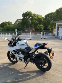 Yamaha YZF-R3 320 cc - ფოტო 9