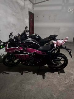 CFMOTO 250SR - ფოტო 2