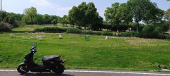 Segway Ninebot Voyager M - ფოტო 1
