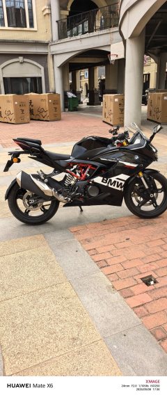 BMW G 310 RR - photo 1