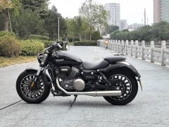 Benda Polestones 03 Gray 300 cc - фото 7