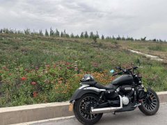 Benda Polestones 03 Gray 300 cc - ფოტო 1